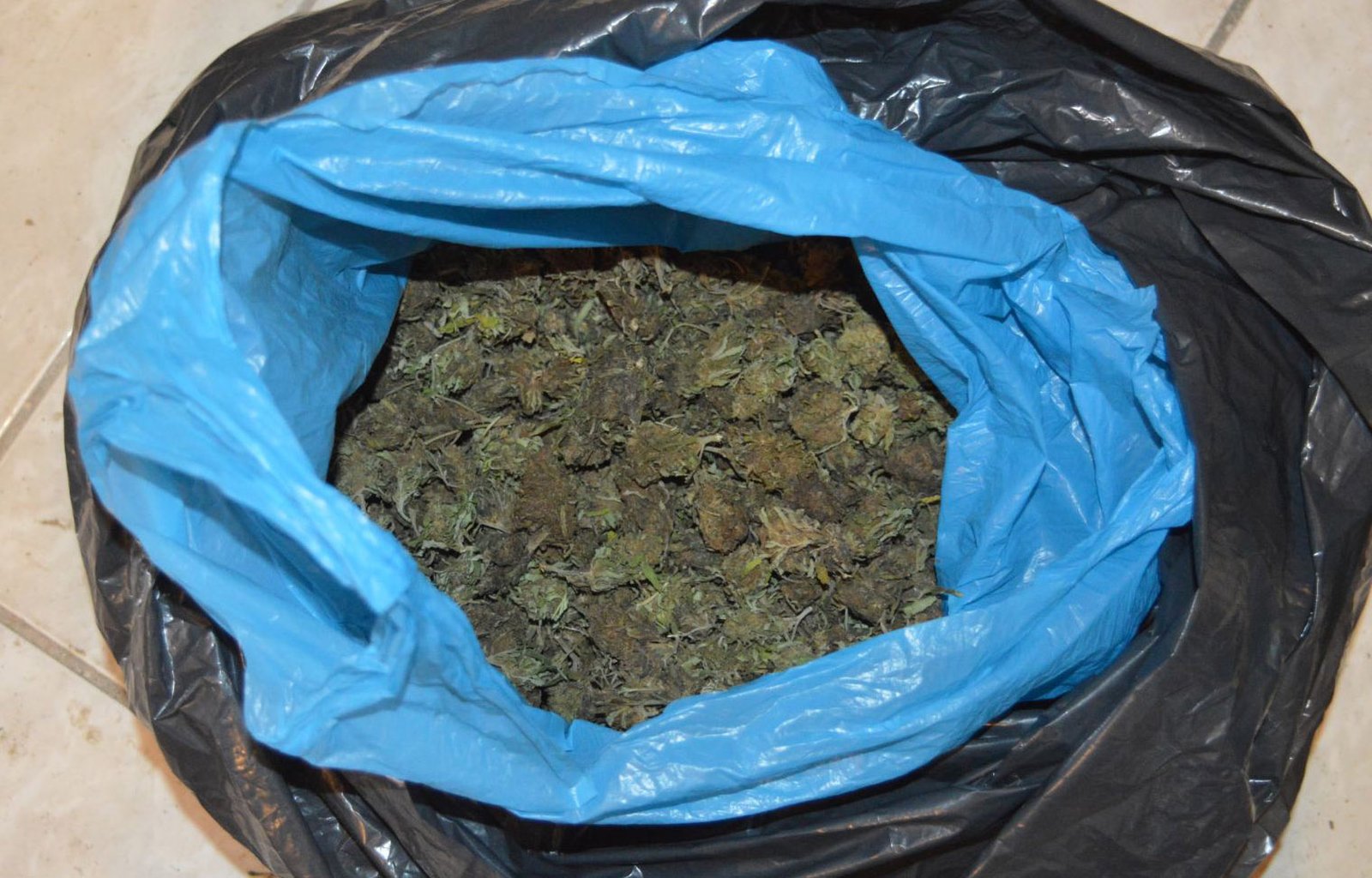Zaječar, hapšenje, marihuana, trgovina drogom, Više javno tužilaštvo, policija