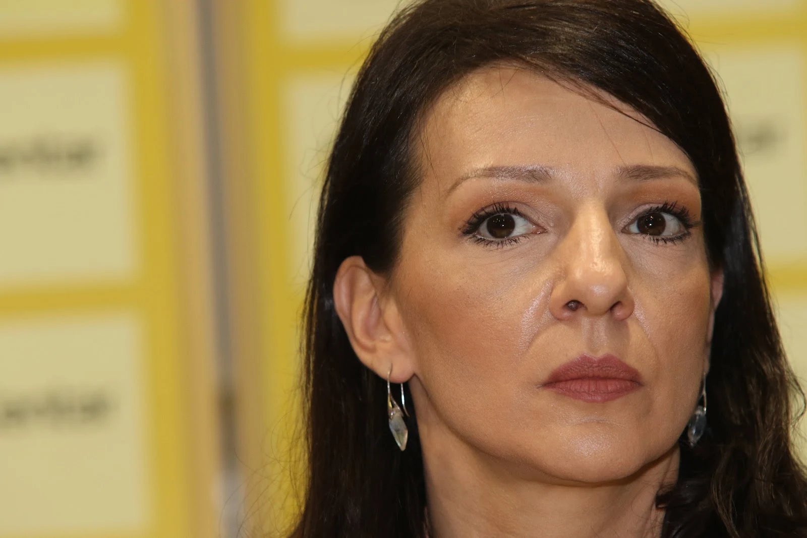 Marinika Tepić, Evropska Srbija, izbori u Srbiji, proevropska koalicija, Evropska unija, SSP