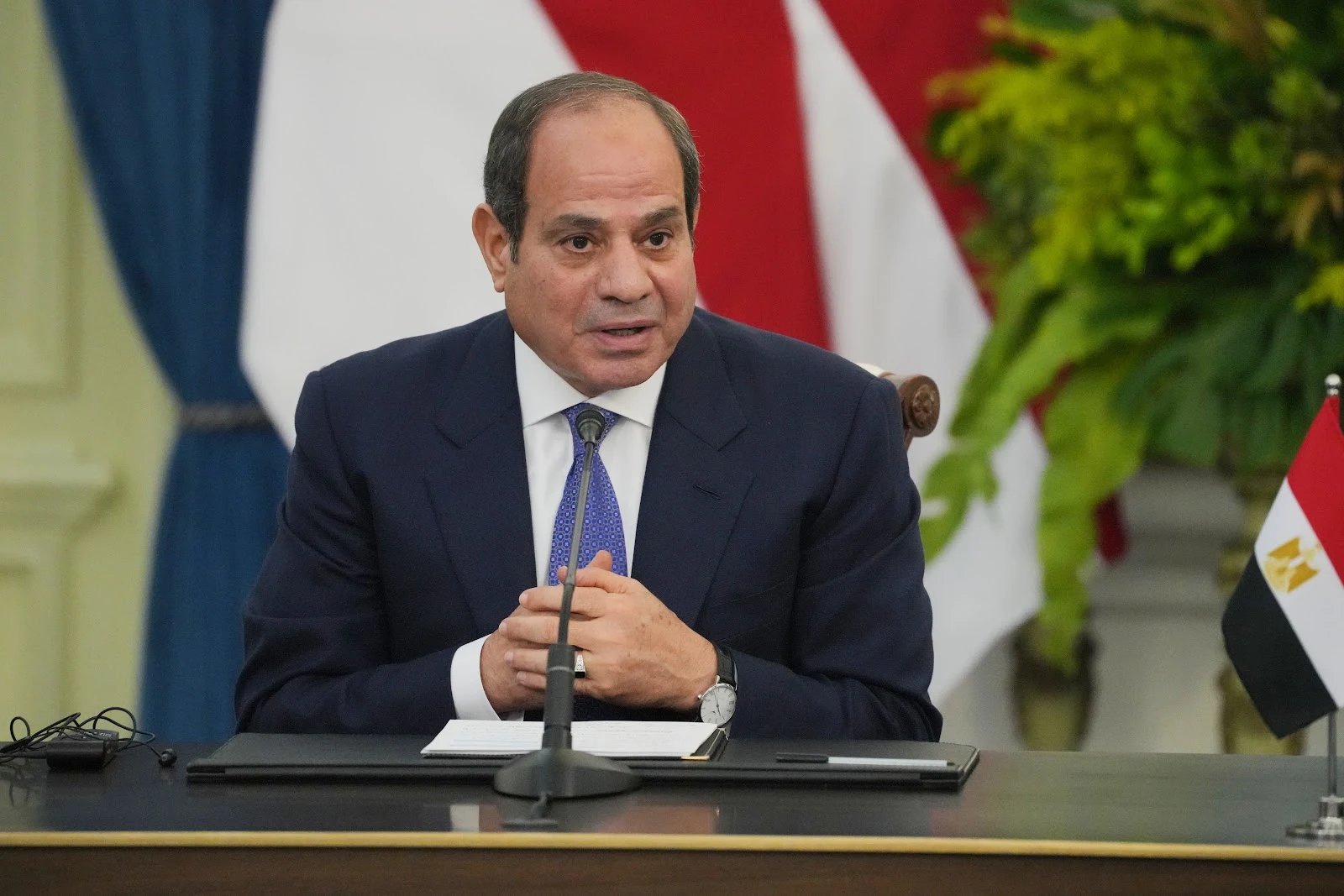 Abdel Fatah el Sisi, Egipat, Ustav, mandat, predsednik Egipta